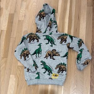 H&M kids Dinosaur Hoodie - Gray and Green